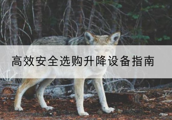 道外升降货梯厂家推荐-*安全选购升降设备指南