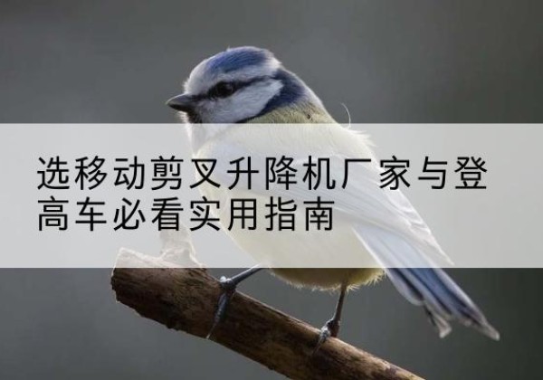 道外电动升降机厂家-选移动剪叉升降机厂家与登高车必看实用指南