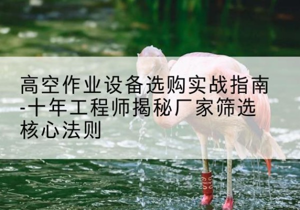 道外剪叉式升降机厂家-高空作业设备选购实战指南-十年工程师揭秘厂家筛选核心法则